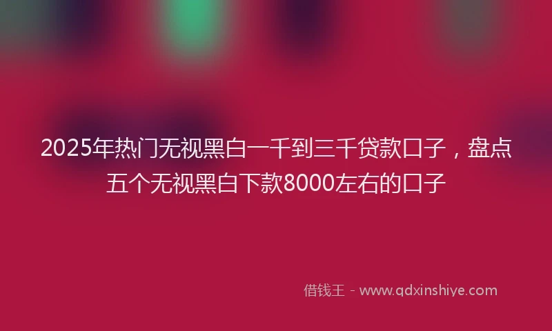2025年热门无视黑白一千到三千贷款口子，盘点五个无视黑白下款8000左右的口子