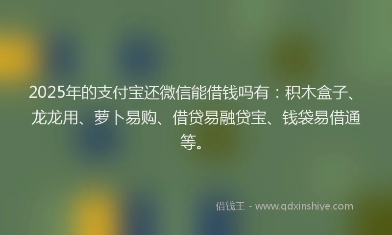 2025年的支付宝还微信能借钱吗有：积木盒子、龙龙用、萝卜易购、借贷易融贷宝、钱袋易借通等。