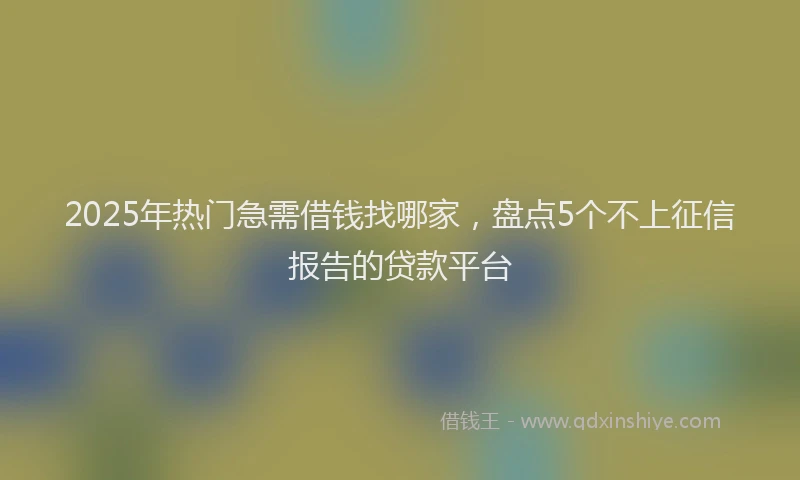 2025年热门急需借钱找哪家，盘点5个不上征信报告的贷款平台