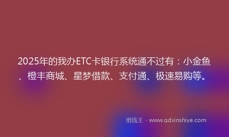 2025年的我办ETC卡银行系统通不过有：小金鱼、橙丰商城、星梦借款、支付通、极速易购等。