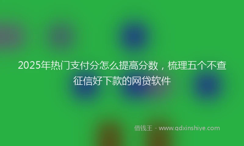 2025年热门支付分怎么提高分数，梳理五个不查征信好下款的网贷软件