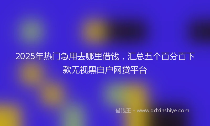 2025年热门急用去哪里借钱，汇总五个百分百下款无视黑白户网贷平台