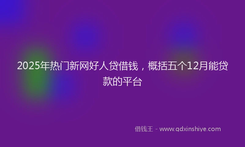 2025年热门新网好人贷借钱，概括五个12月能贷款的平台