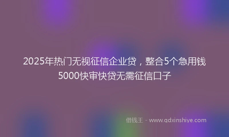 2025年热门无视征信企业贷，整合5个急用钱5000快审快贷无需征信口子