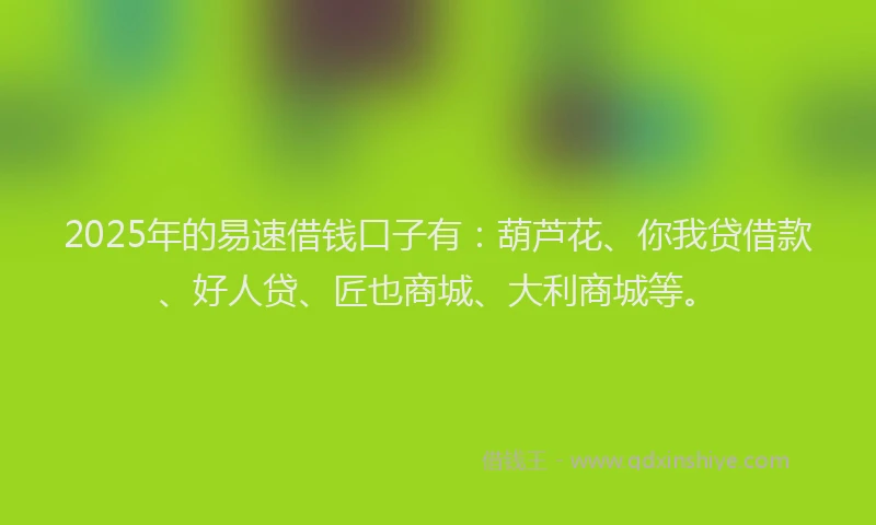 2025年的易速借钱口子有：葫芦花、你我贷借款、好人贷、匠也商城、大利商城等。