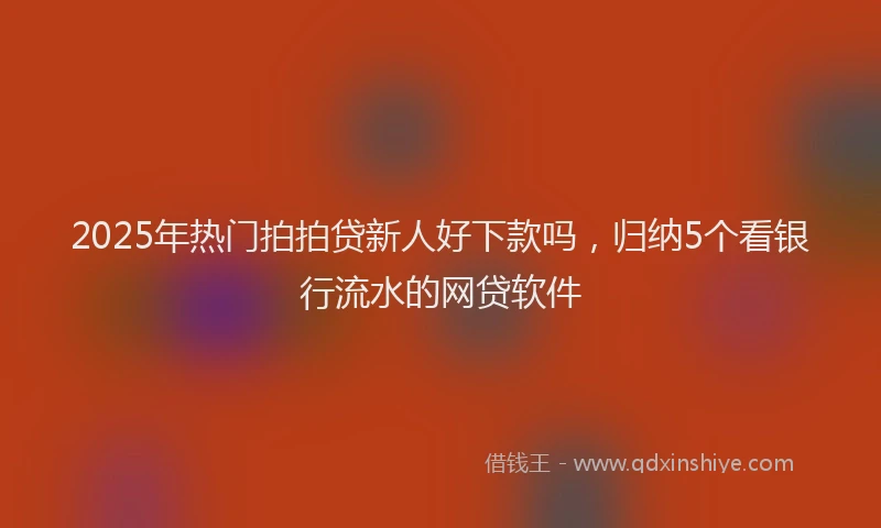 2025年热门拍拍贷新人好下款吗，归纳5个看银行流水的网贷软件