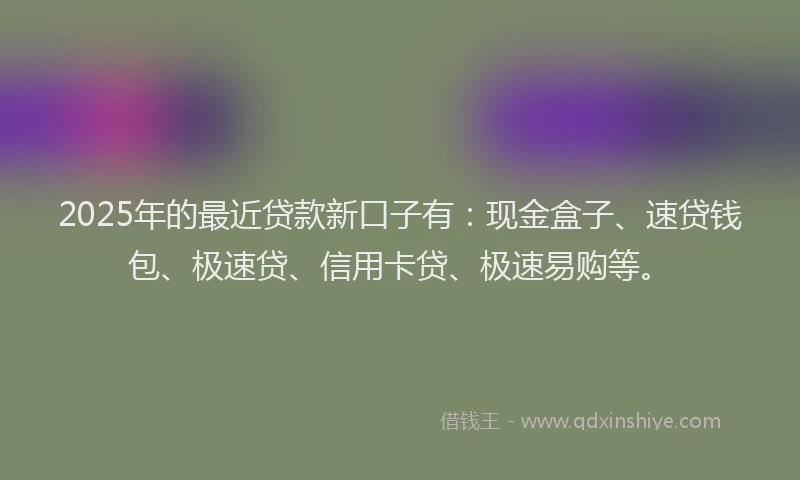 2025年的最近贷款新口子有：现金盒子、速贷钱包、极速贷、信用卡贷、极速易购等。