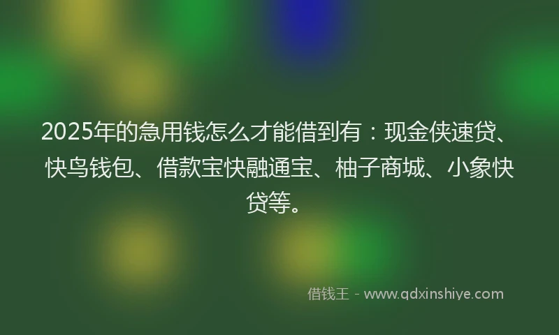 2025年的急用钱怎么才能借到有：现金侠速贷、快鸟钱包、借款宝快融通宝、柚子商城、小象快贷等。