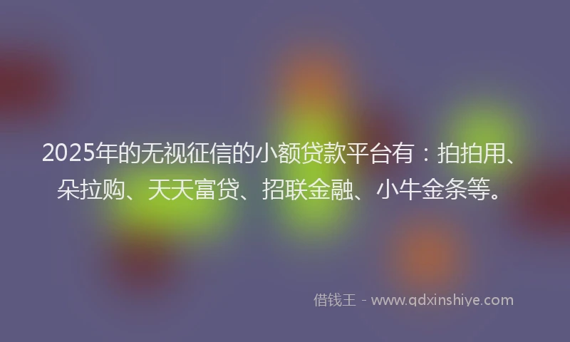 2025年的无视征信的小额贷款平台有：拍拍用、朵拉购、天天富贷、招联金融、小牛金条等。