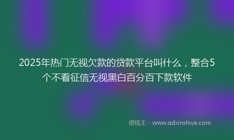 2025年热门无视欠款的贷款平台叫什么，整合5个不看征信无视黑白百分百下款软件