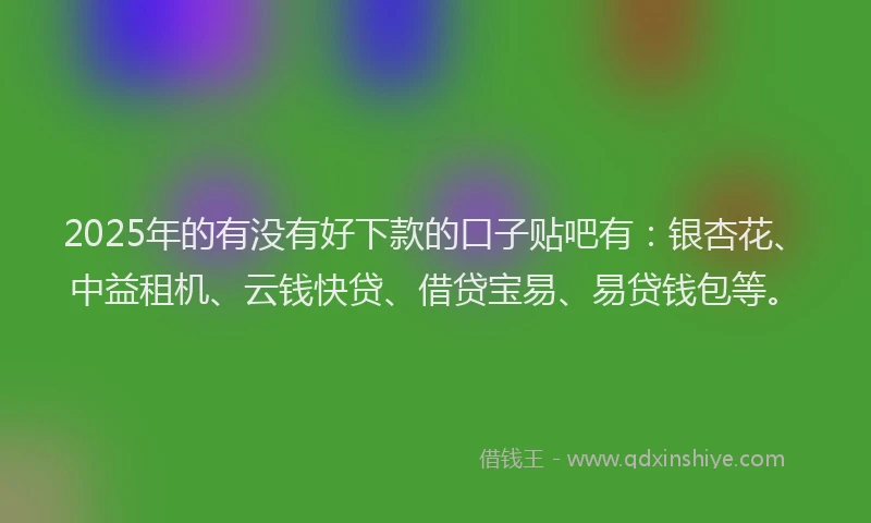 2025年的有没有好下款的口子贴吧有：银杏花、中益租机、云钱快贷、借贷宝易、易贷钱包等。