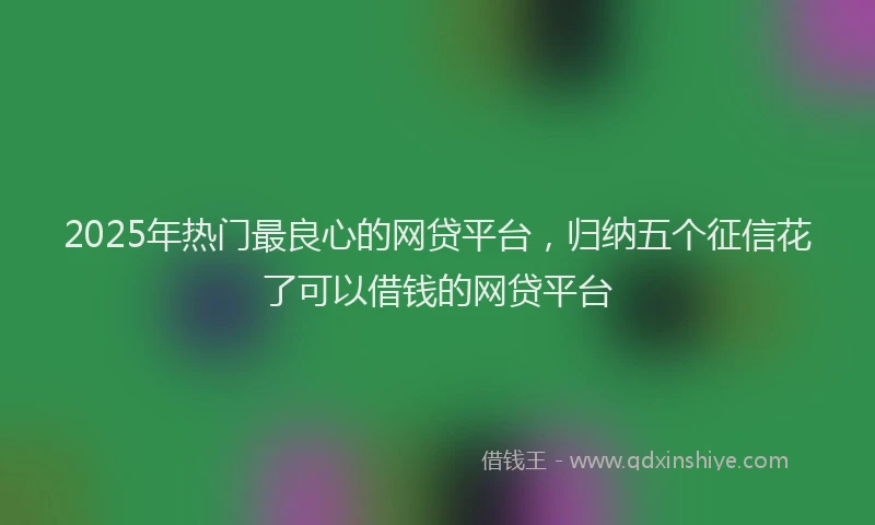 2025年热门最良心的网贷平台，归纳五个征信花了可以借钱的网贷平台