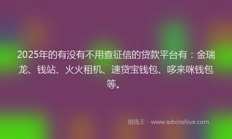 2025年的有没有不用查征信的贷款平台有：金瑞龙、钱站、火火租机、速贷宝钱包、哆来咪钱包等。