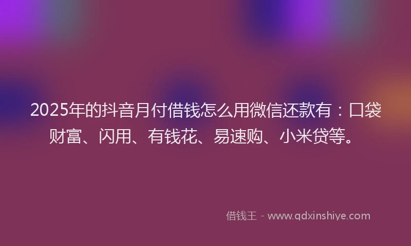 2025年的抖音月付借钱怎么用微信还款有：口袋财富、闪用、有钱花、易速购、小米贷等。