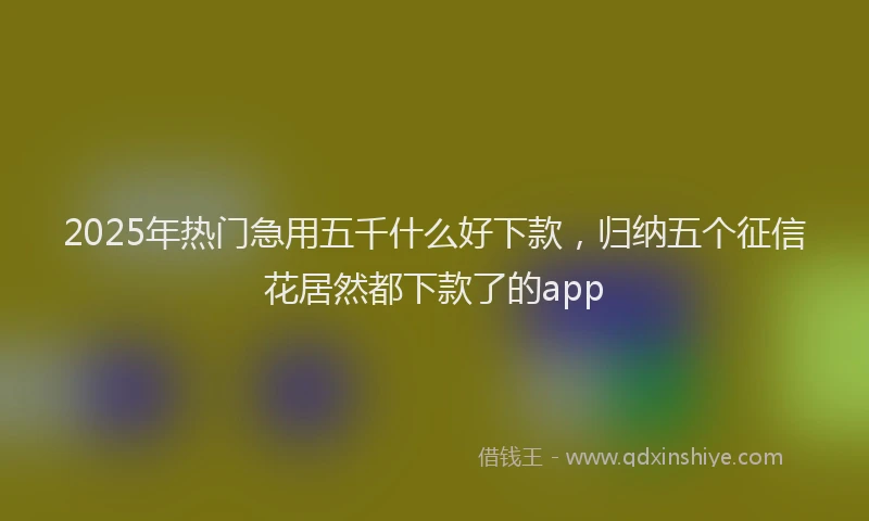 2025年热门急用五千什么好下款，归纳五个征信花居然都下款了的app
