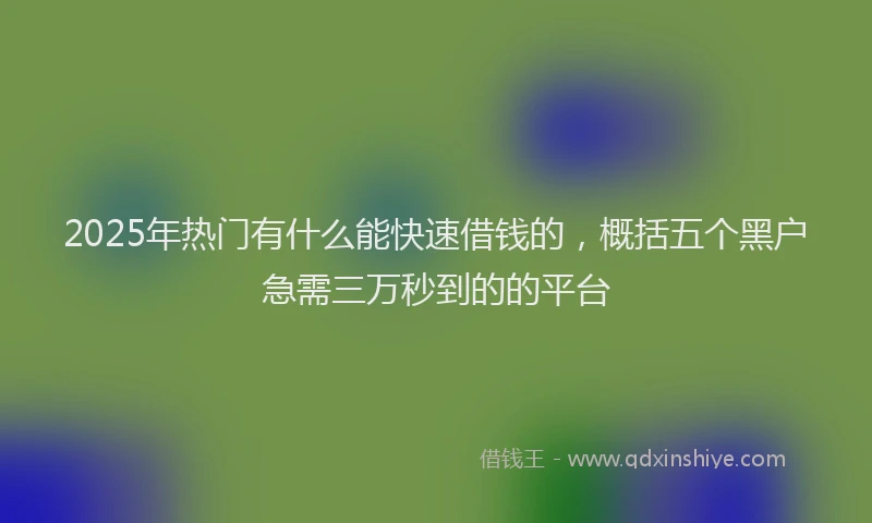 2025年热门有什么能快速借钱的，概括五个黑户急需三万秒到的的平台
