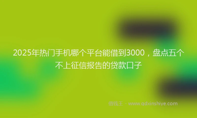 2025年热门手机哪个平台能借到3000，盘点五个不上征信报告的贷款口子