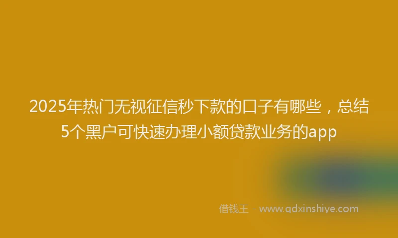 2025年热门无视征信秒下款的口子有哪些，总结5个黑户可快速办理小额贷款业务的app