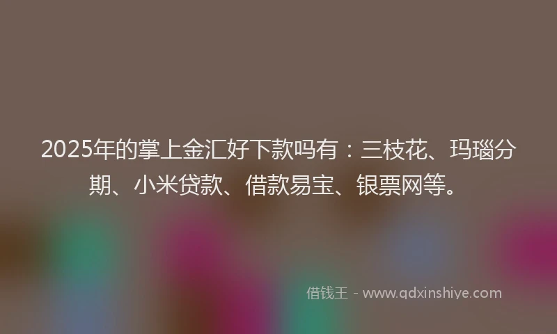 2025年的掌上金汇好下款吗有：三枝花、玛瑙分期、小米贷款、借款易宝、银票网等。