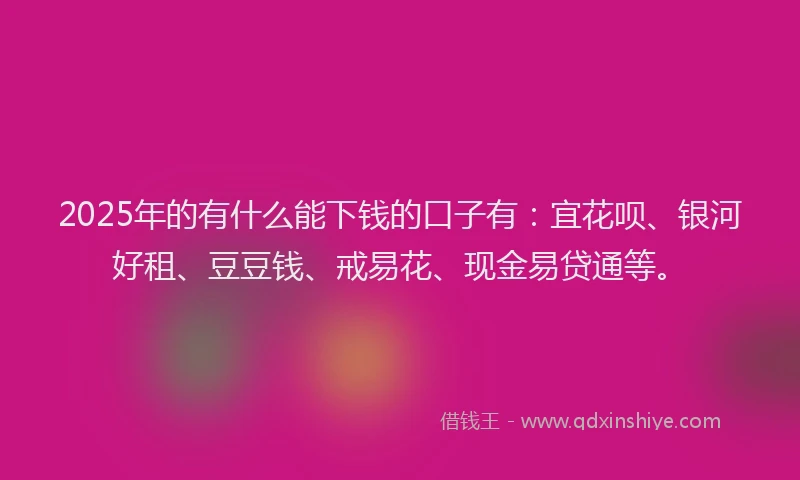 2025年的有什么能下钱的口子有：宜花呗、银河好租、豆豆钱、戒易花、现金易贷通等。