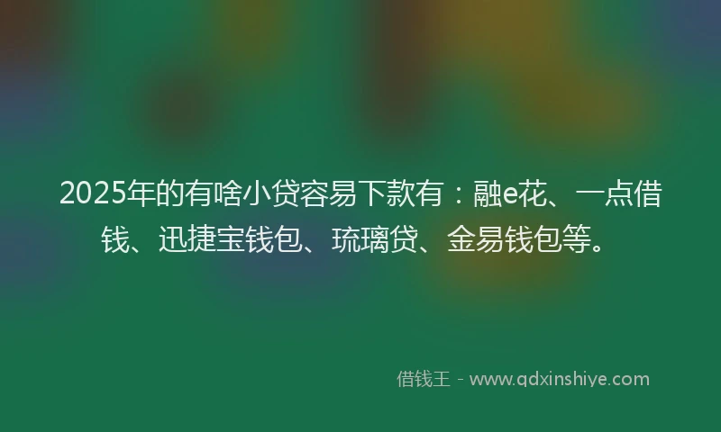 2025年的有啥小贷容易下款有：融e花、一点借钱、迅捷宝钱包、琉璃贷、金易钱包等。