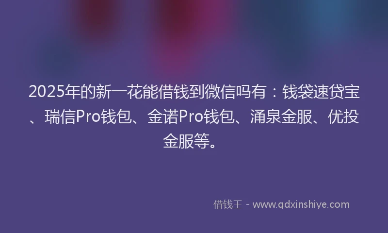2025年的新一花能借钱到微信吗有：钱袋速贷宝、瑞信Pro钱包、金诺Pro钱包、涌泉金服、优投金服等。