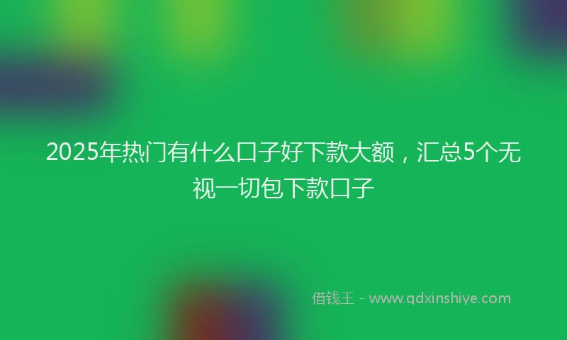 2025年热门有什么口子好下款大额，汇总5个无视一切包下款口子