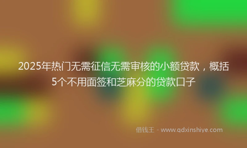 2025年热门无需征信无需审核的小额贷款，概括5个不用面签和芝麻分的贷款口子