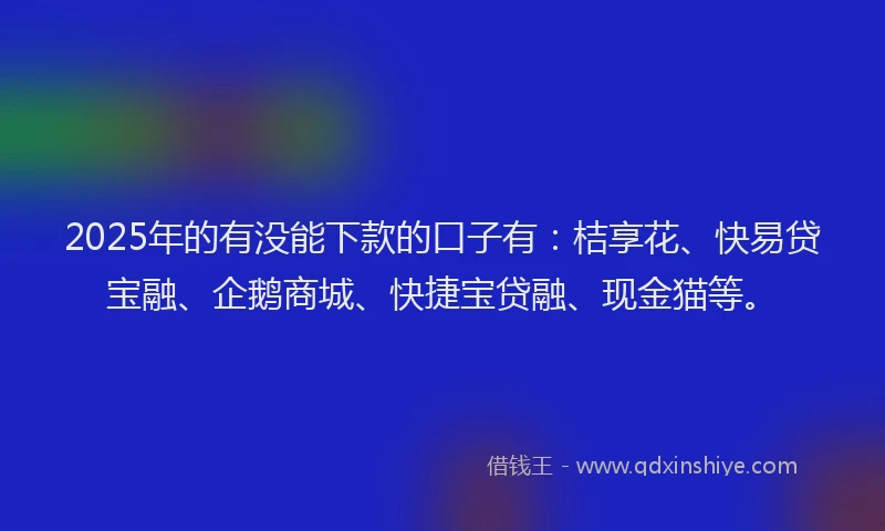 2025年的有没能下款的口子有：桔享花、快易贷宝融、企鹅商城、快捷宝贷融、现金猫等。