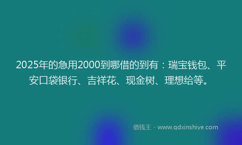 2025年的急用2000到哪借的到有：瑞宝钱包、平安口袋银行、吉祥花、现金树、理想给等。