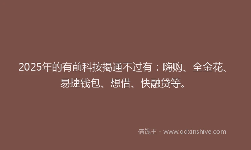 2025年的有前科按揭通不过有：嗨购、全金花、易捷钱包、想借、快融贷等。