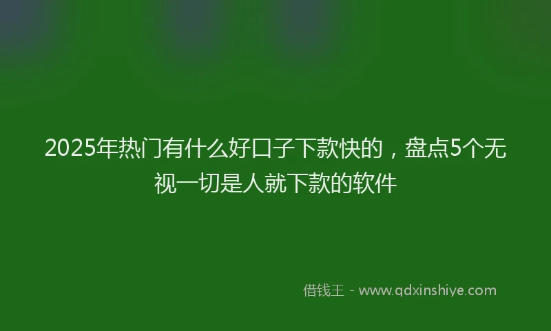 2025年热门有什么好口子下款快的，盘点5个无视一切是人就下款的软件