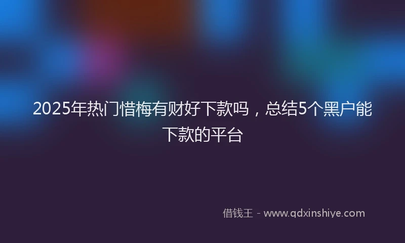 2025年热门惜梅有财好下款吗，总结5个黑户能下款的平台