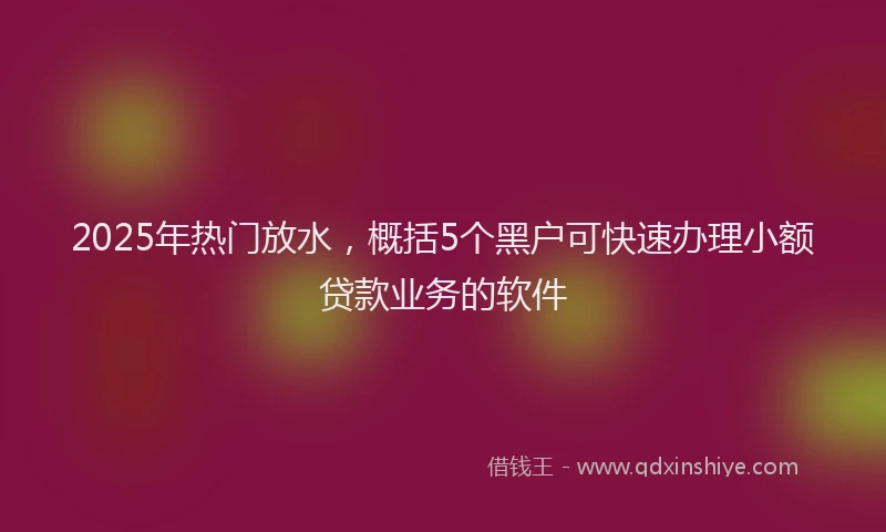 2025年热门放水，概括5个黑户可快速办理小额贷款业务的软件