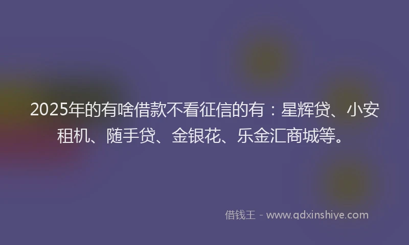 2025年的有啥借款不看征信的有：星辉贷、小安租机、随手贷、金银花、乐金汇商城等。