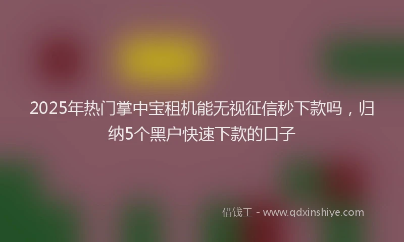 2025年热门掌中宝租机能无视征信秒下款吗，归纳5个黑户快速下款的口子