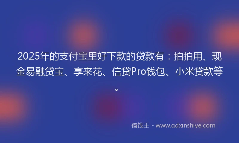 2025年的支付宝里好下款的贷款有：拍拍用、现金易融贷宝、享来花、信贷Pro钱包、小米贷款等。