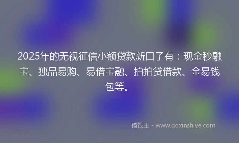 2025年的无视征信小额贷款新口子有：现金秒融宝、独品易购、易借宝融、拍拍贷借款、金易钱包等。