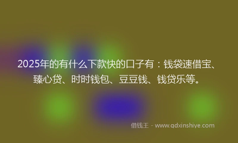 2025年的有什么下款快的口子有：钱袋速借宝、臻心贷、时时钱包、豆豆钱、钱贷乐等。