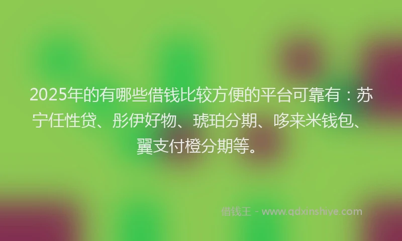 2025年的有哪些借钱比较方便的平台可靠有：苏宁任性贷、彤伊好物、琥珀分期、哆来米钱包、翼支付橙分期等。
