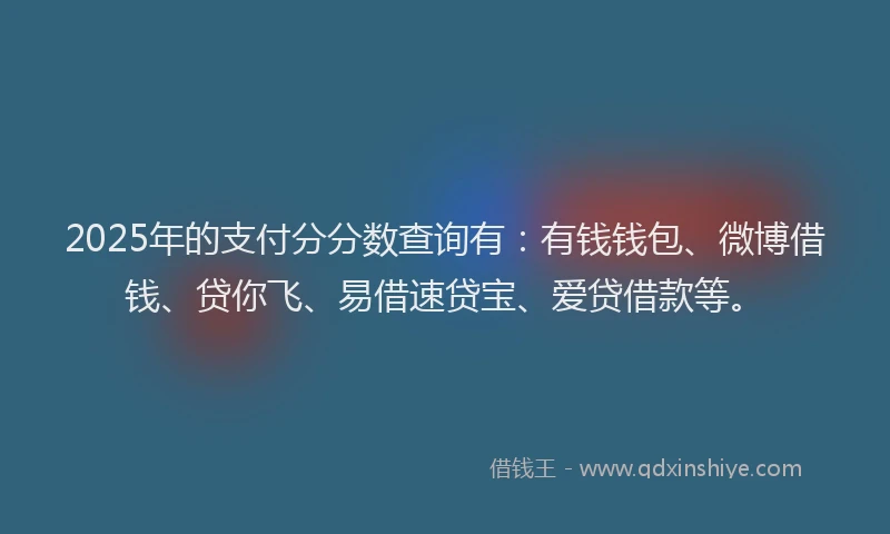 2025年的支付分分数查询有：有钱钱包、微博借钱、贷你飞、易借速贷宝、爱贷借款等。