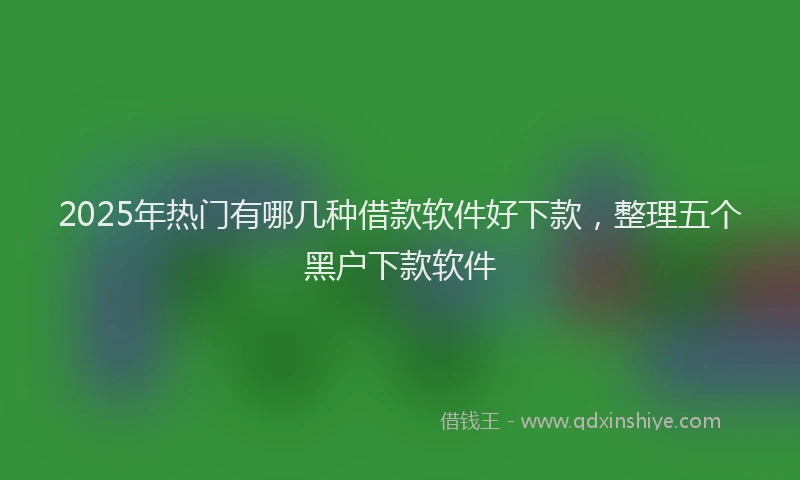 2025年热门有哪几种借款软件好下款，整理五个黑户下款软件