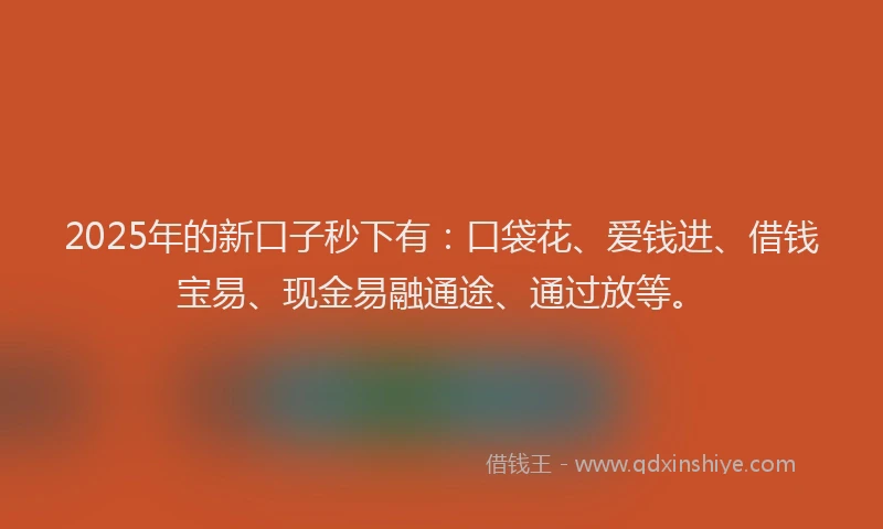 2025年的新口子秒下有：口袋花、爱钱进、借钱宝易、现金易融通途、通过放等。