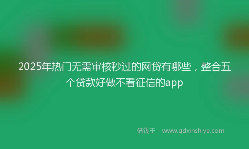 2025年热门无需审核秒过的网贷有哪些，整合五个贷款好做不看征信的app