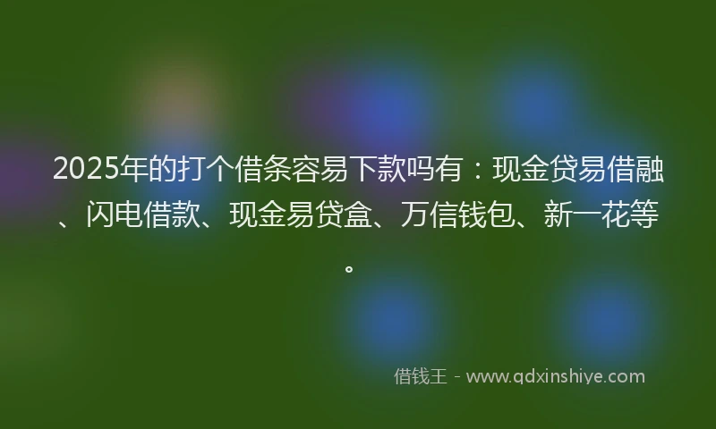 2025年的打个借条容易下款吗有：现金贷易借融、闪电借款、现金易贷盒、万信钱包、新一花等。