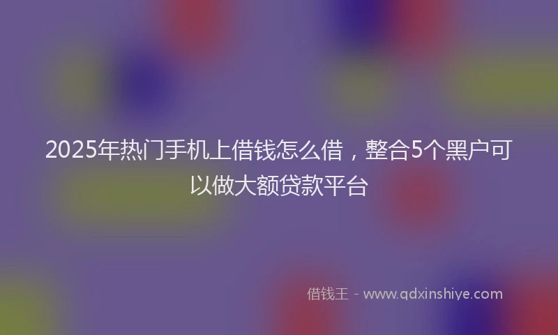 2025年热门手机上借钱怎么借，整合5个黑户可以做大额贷款平台
