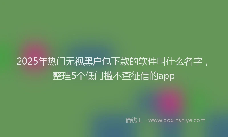 2025年热门无视黑户包下款的软件叫什么名字，整理5个低门槛不查征信的app