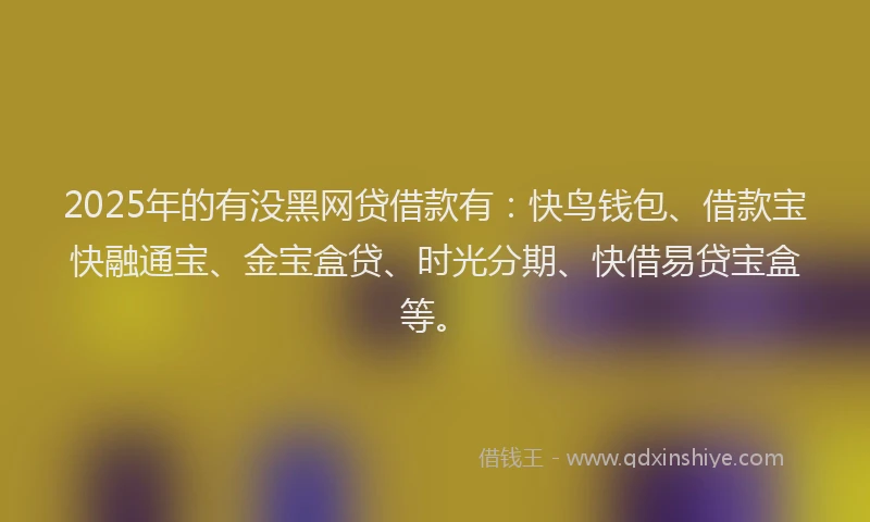 2025年的有没黑网贷借款有：快鸟钱包、借款宝快融通宝、金宝盒贷、时光分期、快借易贷宝盒等。