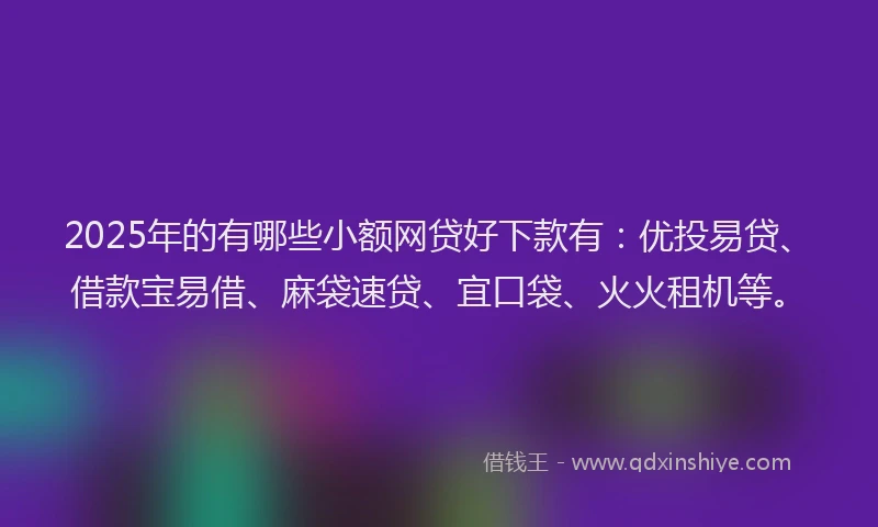 2025年的有哪些小额网贷好下款有：优投易贷、借款宝易借、麻袋速贷、宜口袋、火火租机等。