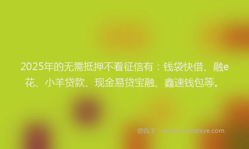 2025年的无需抵押不看征信有：钱袋快借、融e花、小羊贷款、现金易贷宝融、鑫速钱包等。
